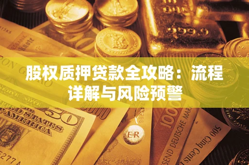 武汉股权质押贷款全攻略：流程详解与风险预警