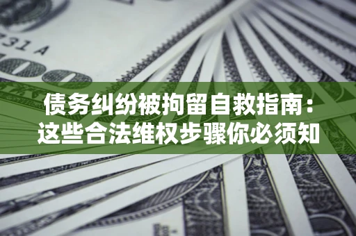 武汉债务纠纷被拘留自救指南：这些合法维权步骤你必须知道！