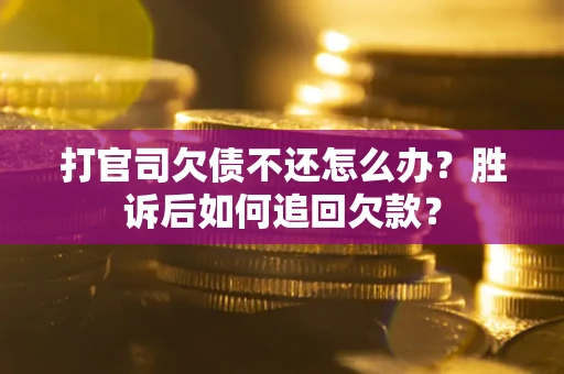 武汉打官司欠债不还怎么办？胜诉后如何追回欠款？