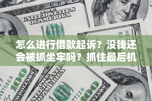 武汉怎么进行借款起诉？没钱还会被抓坐牢吗？抓住最后机会！