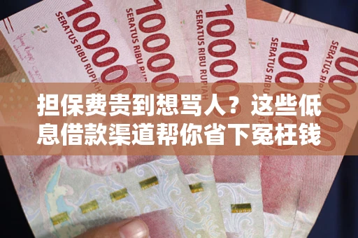 武汉担保费贵到想骂人？这些低息借款渠道帮你省下冤枉钱