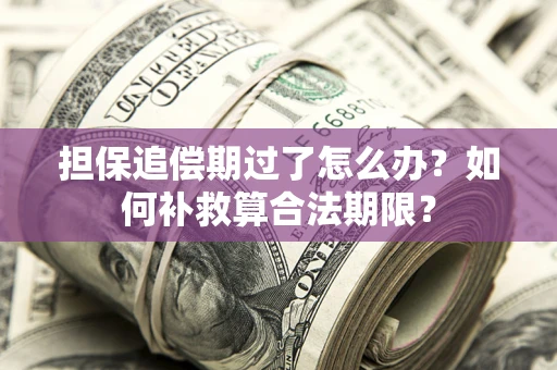 武汉担保追偿期过了怎么办？如何补救算合法期限？