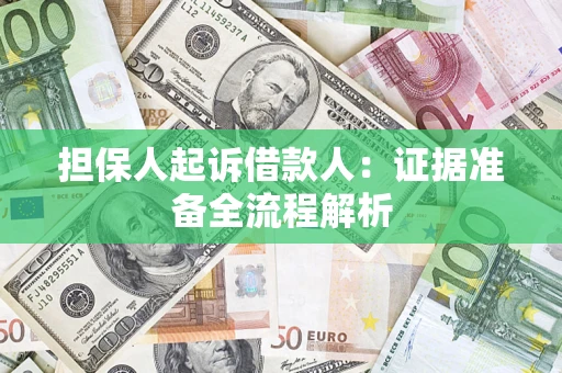 武汉担保人起诉借款人：证据准备全流程解析