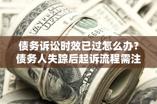 武汉债务诉讼时效已过怎么办？债务人失踪后起诉流程需注意什么？