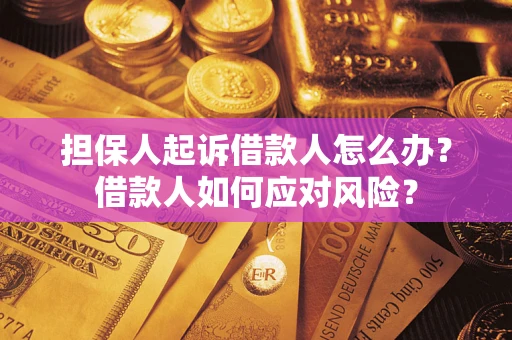 武汉担保人起诉借款人怎么办？借款人如何应对风险？