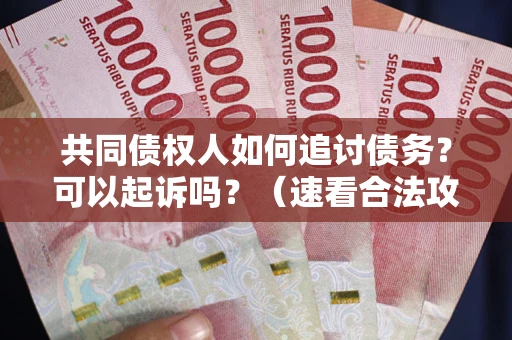 武汉共同债权人如何追讨债务？可以起诉吗？（速看合法攻略）