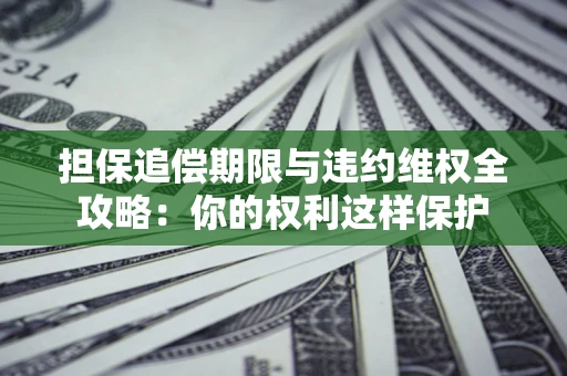 武汉担保追偿期限与违约维权全攻略：你的权利这样保护