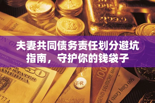 武汉夫妻共同债务责任划分避坑指南，守护你的钱袋子
