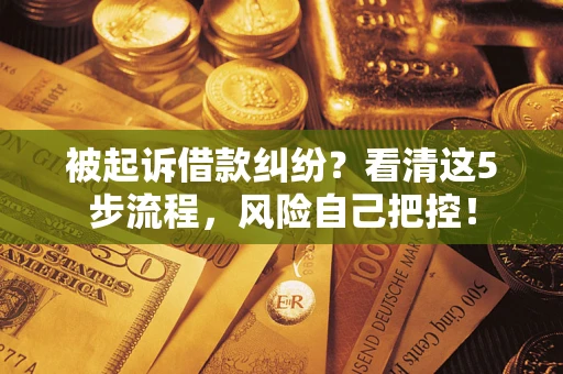武汉被起诉借款纠纷？看清这5步流程，风险自己把控！