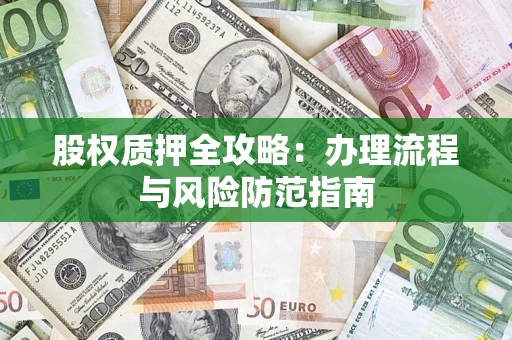 武汉股权质押全攻略：办理流程与风险防范指南