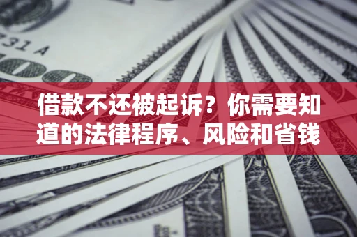 武汉借款不还被起诉？你需要知道的法律程序、风险和省钱技巧