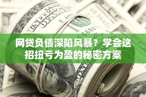 武汉网贷负债深陷风暴？学会这招扭亏为盈的秘密方案